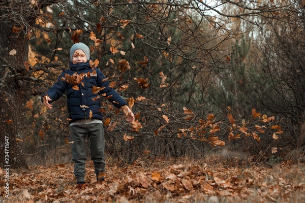 Fototapeta A pile of autumn, yellow foliage, a child, a boy playing with foliage in a park, throws up leaves. Concept autumn, yellow leaves, autumn mood. Copy space.
