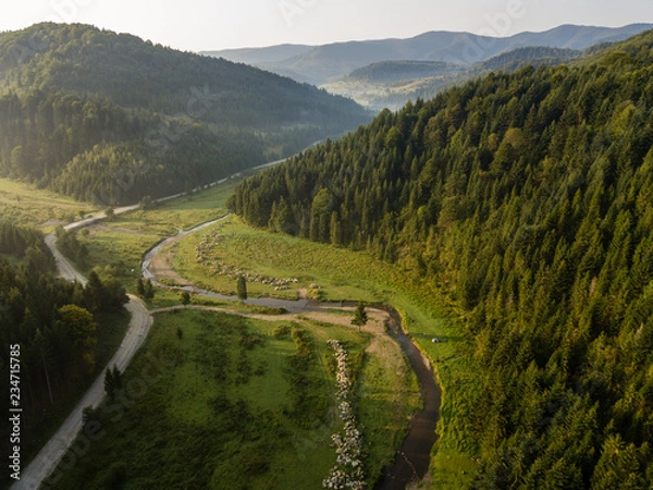 Fototapeta Road through mountains and forest captured from above