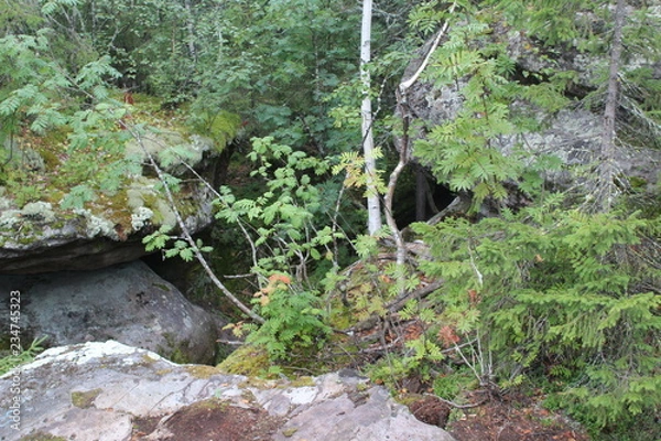 Obraz photo landscape forest and mountains