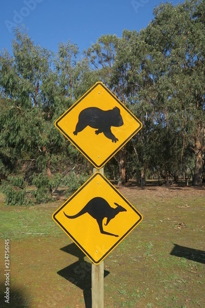Obraz Koala Känguru Warnschild in Australien