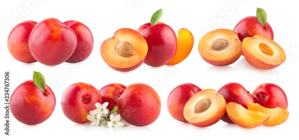 Obraz Red plums