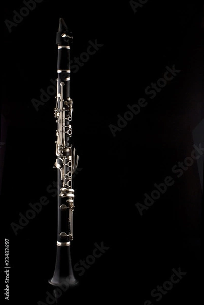 Obraz Clarinet