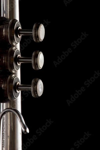 Obraz Trumpet