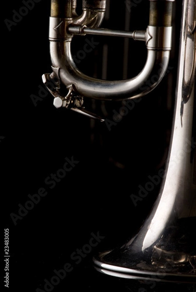 Obraz Trumpet