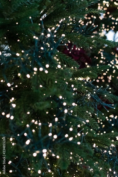 Obraz Christmas decoration