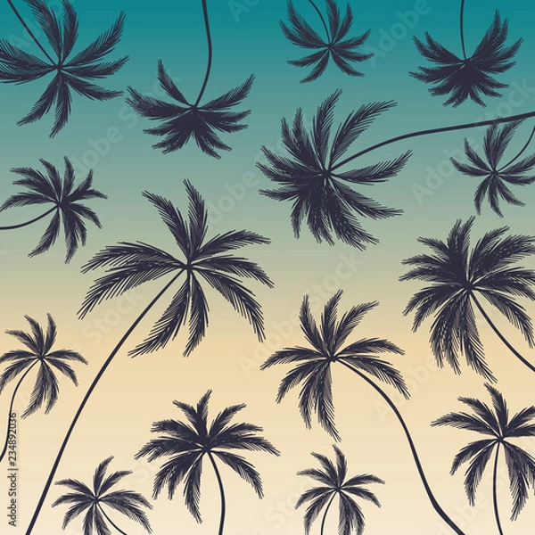 Fototapeta Coconut palm trees on colorful background. Beautiful palm trees.