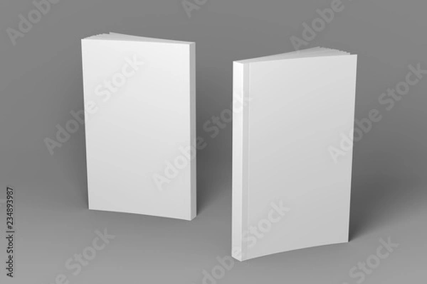 Fototapeta Two standing books. Presentation of front cover, spine and back cover. 3D illustration of mock-up template.