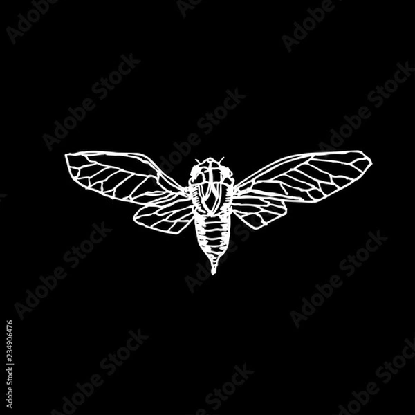 Obraz 곤충 일러스트 / 손으로 그린 곤충 스케치