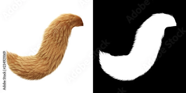 Obraz Fox Tail na białym tle