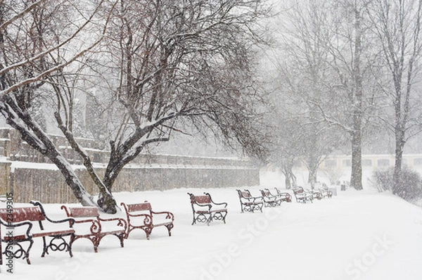 Fototapeta winter scene