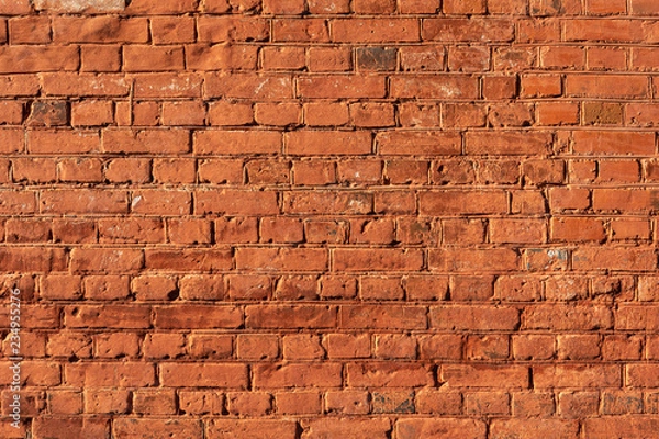 Fototapeta Brick wall