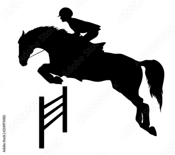 Fototapeta Equestrian sport, show jumping, eventing. A silhouette of a rider jumping on a horse.