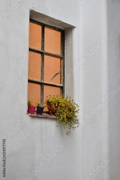 Obraz window with flowers