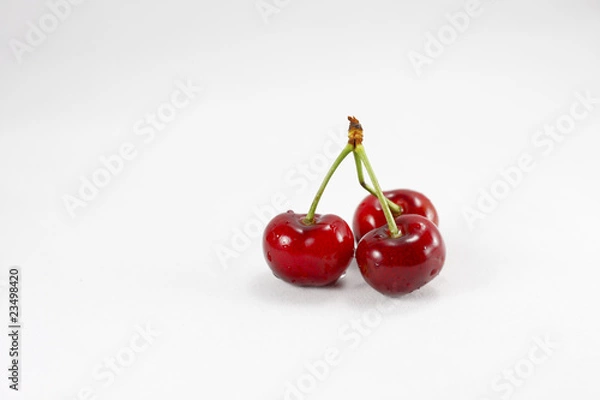Obraz Cherry