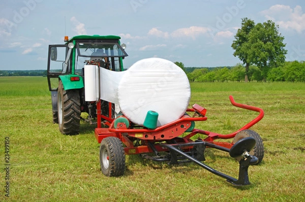 Fototapeta Way of gathering of hay in rolls