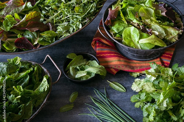 Obraz Assorted bowls filled with a variety of leafy greens including lettuce, chard, arugula, and spinach.  