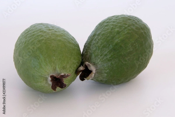 Obraz Two delicious feijoa fruit.