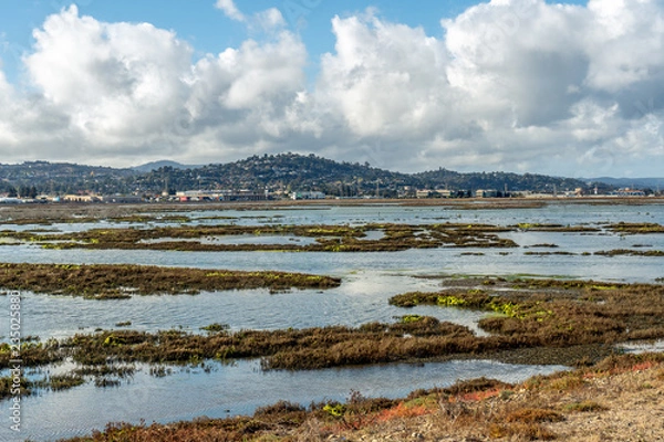 Obraz View at Bair Island, Don Edwards San Francisco National Wildlife Refuge, California