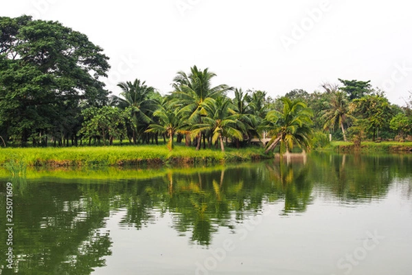 Obraz OLYMPUS DIGITAL CAMERA