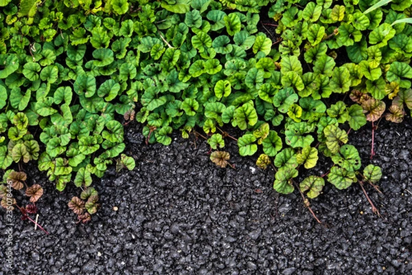 Obraz OLYMPUS DIGITAL CAMERA