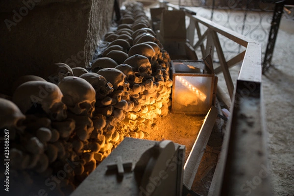 Fototapeta Skull and bones