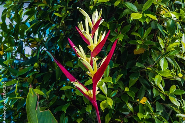 Obraz OLYMPUS DIGITAL CAMERA