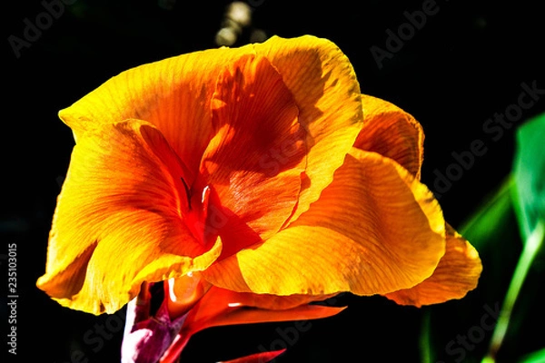 Obraz OLYMPUS DIGITAL CAMERA