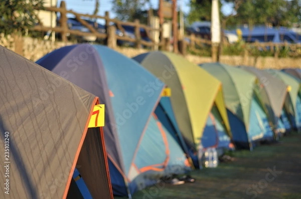 Obraz tent in the forest