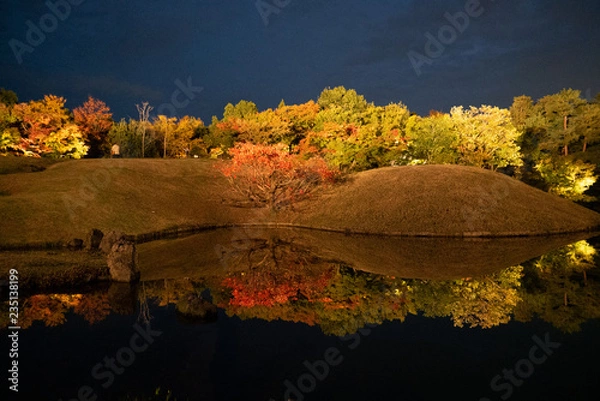 Fototapeta 梅小路公園の紅葉