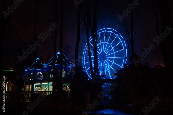 Obraz carousel at night
