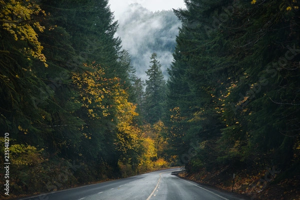 Obraz Oregon Roads & Autumn