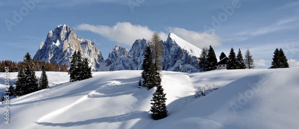 Obraz Alpe di Siusi#5