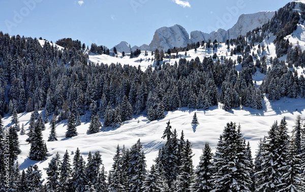 Obraz Alpe di Siusi#3