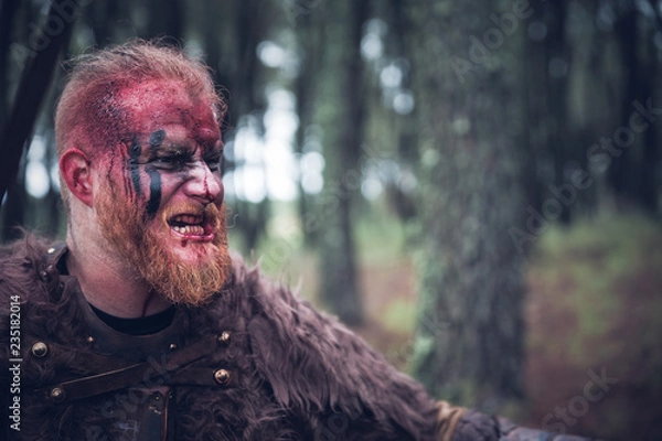 Obraz viking with red beard with weapons and armor