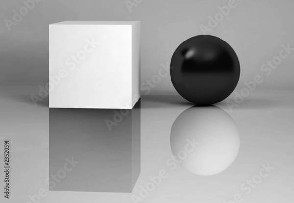 Obraz White and black concept - reflections.