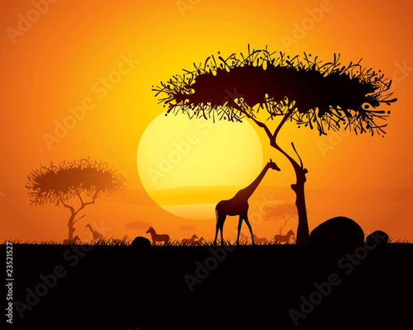 Fototapeta tranquil sunset scene in africa