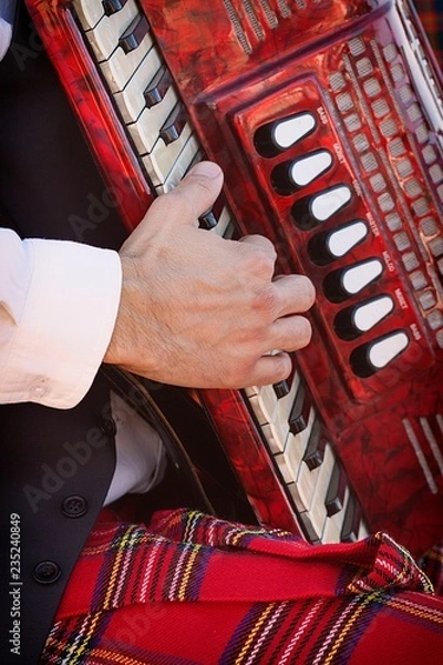 Obraz TOCANDO EL ACORDEON 