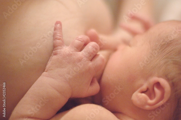 Obraz karmienie mlekiem