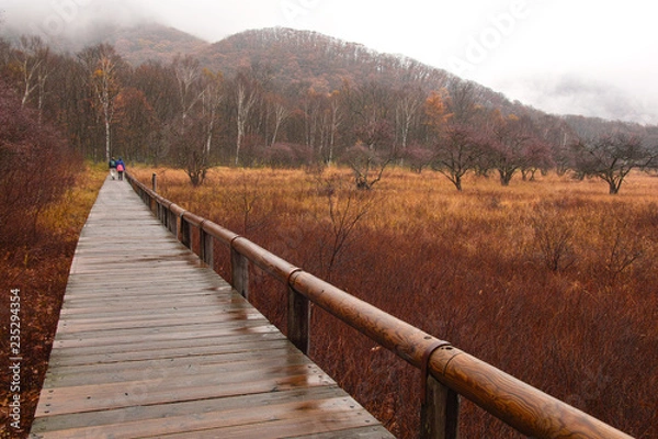 Obraz 秋の小田代原