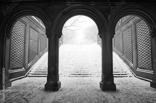 Fototapeta Central Park in Manhattan New York during middle of snowstorm with snow falling