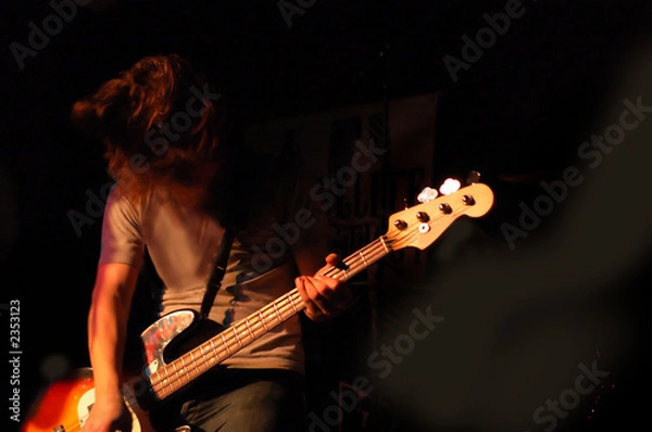Obraz bass player