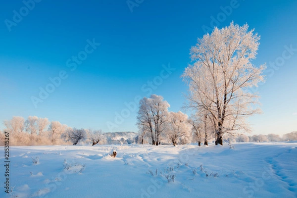Obraz Winter landscape. Cold day.