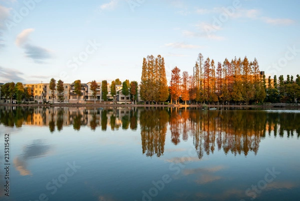 Obraz 秋の別所沼公園　さいたま市南区