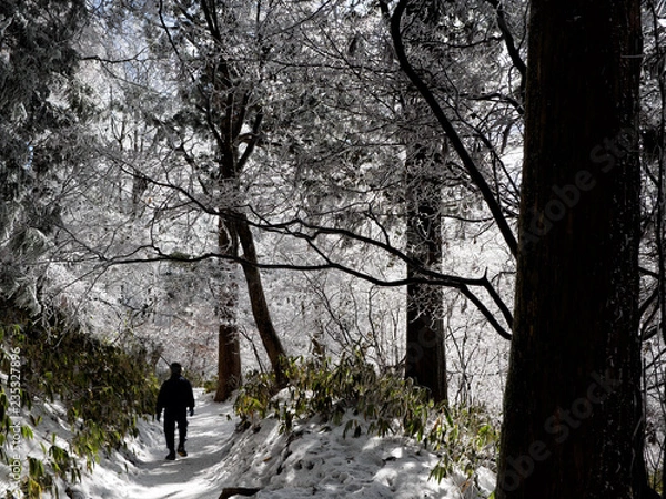 Fototapeta OLYMPUS DIGITAL CAMERA