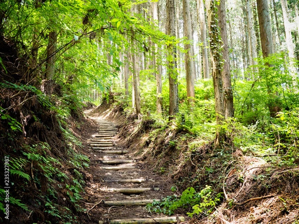 Fototapeta OLYMPUS DIGITAL CAMERA