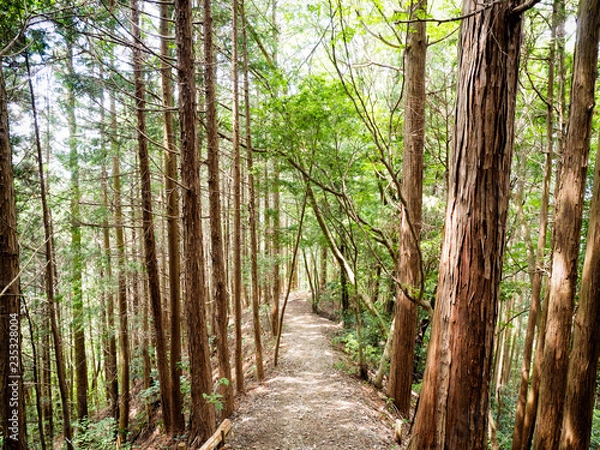 Obraz OLYMPUS DIGITAL CAMERA