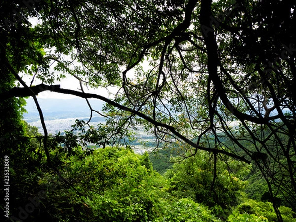 Fototapeta OLYMPUS DIGITAL CAMERA