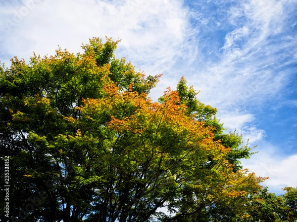 Obraz OLYMPUS DIGITAL CAMERA