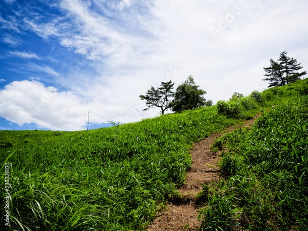 Fototapeta OLYMPUS DIGITAL CAMERA