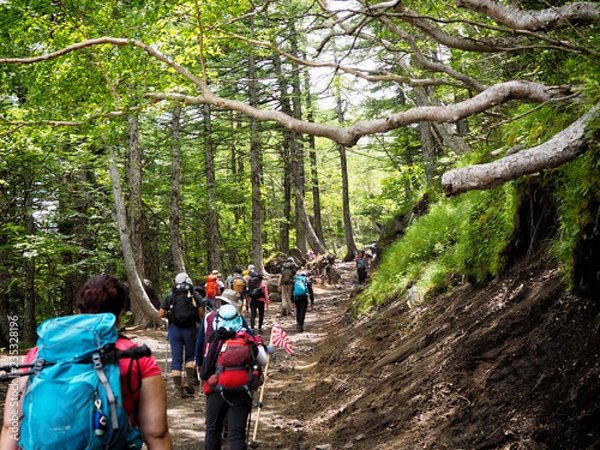 Obraz OLYMPUS DIGITAL CAMERA